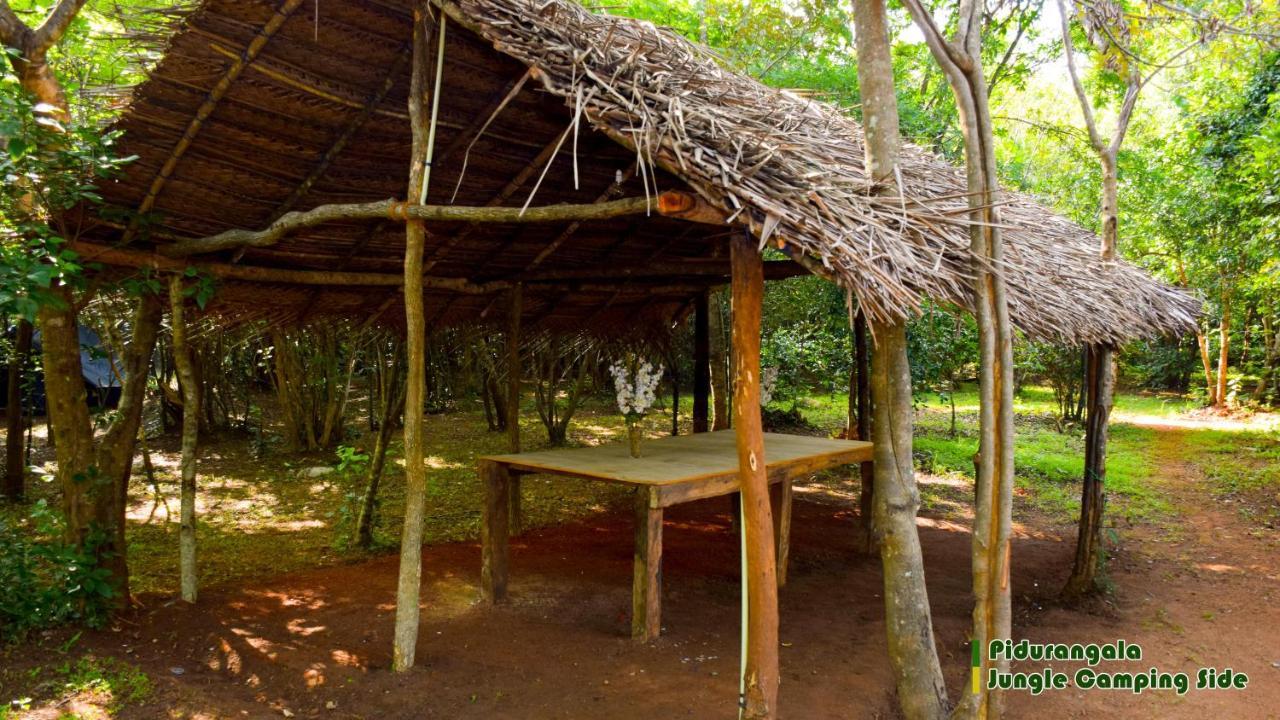 فندق سيغيرِيافي  Sigiri Jungle Camping المظهر الخارجي الصورة