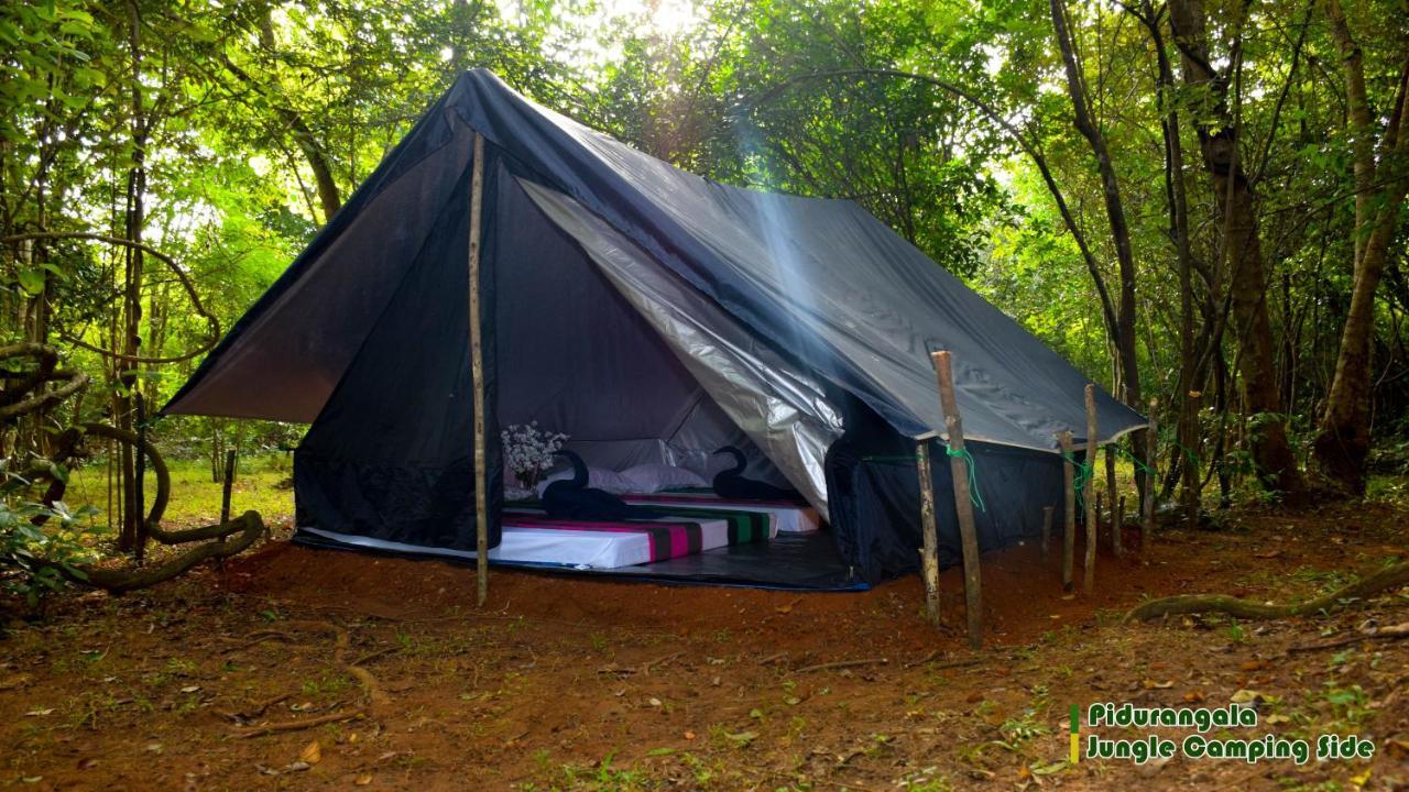 فندق سيغيرِيافي  Sigiri Jungle Camping المظهر الخارجي الصورة